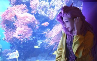 qq三国谋士大赛有多少关 qq三国谋士大赛